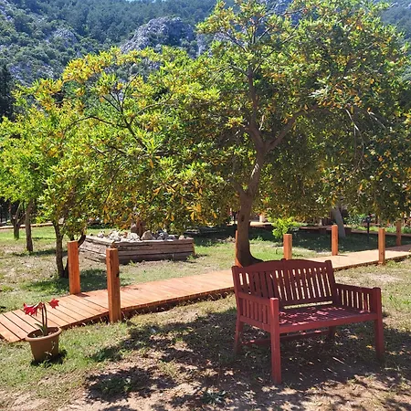 Yedi Butik מלון קמר