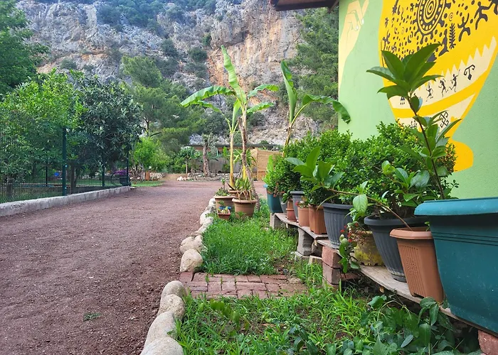 Yedi Butik كمر